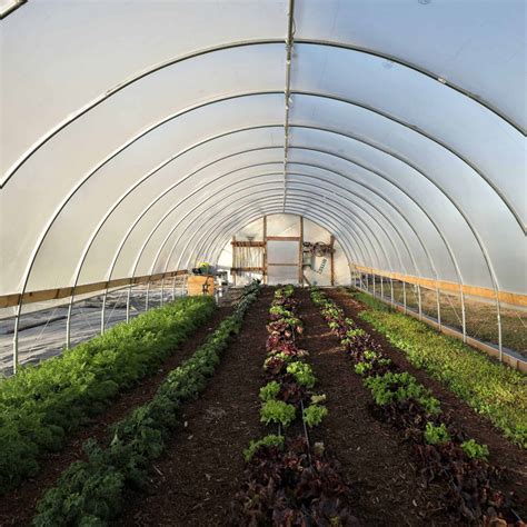 greenhouse hoop houses